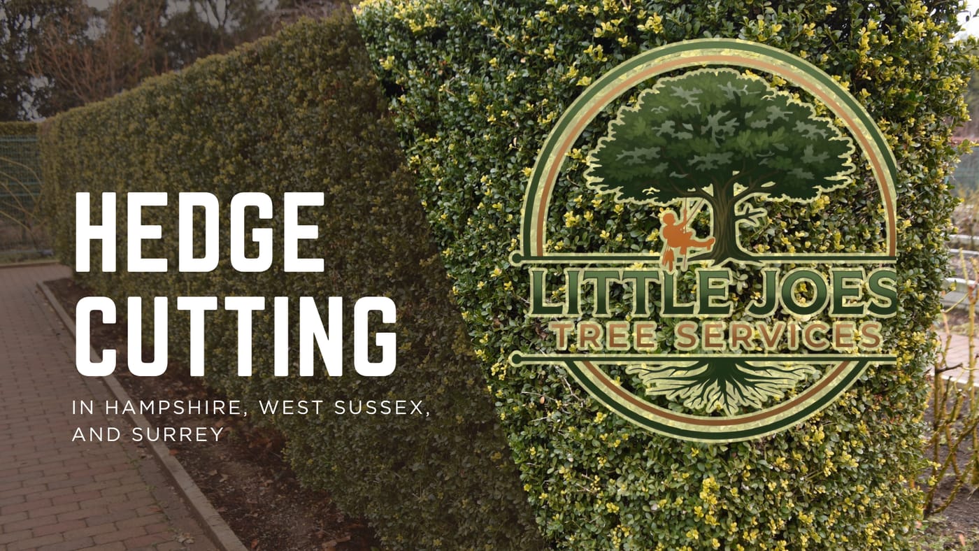 Little Joe's Tree Services screenshot 5