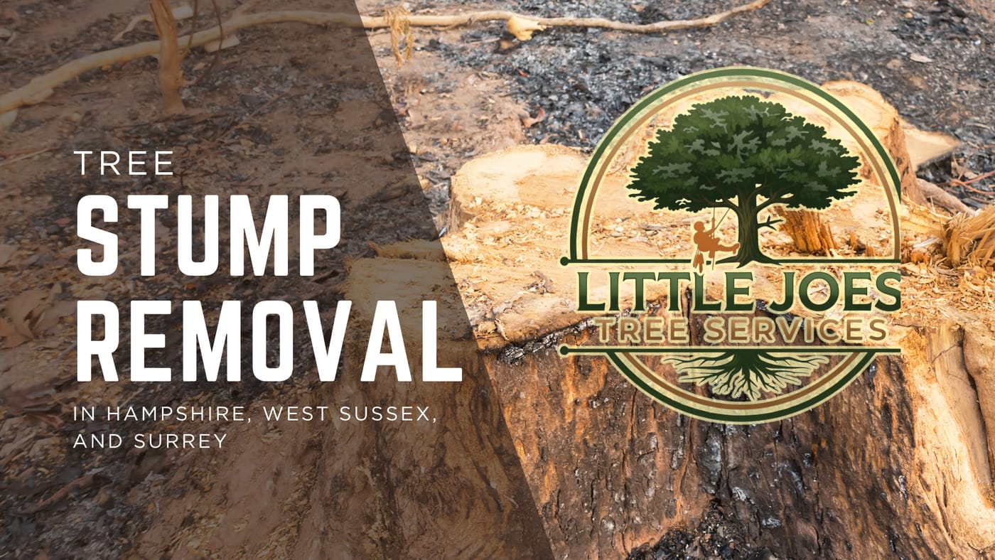 Little Joe's Tree Services screenshot 4