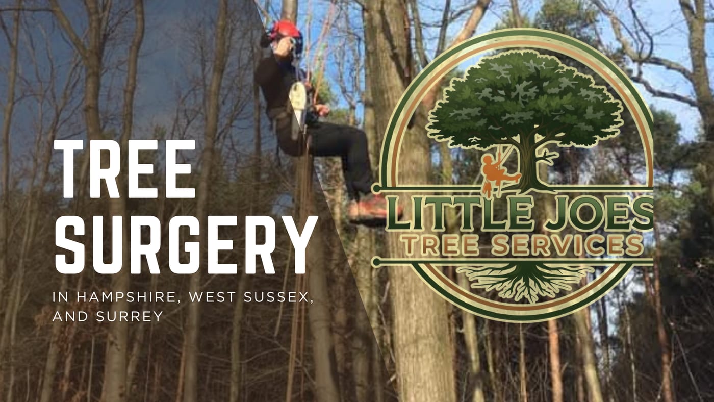 Little Joe's Tree Services screenshot 3